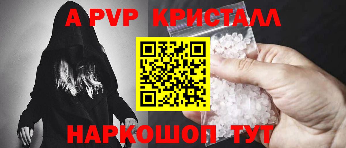 A PVP СК Бердск