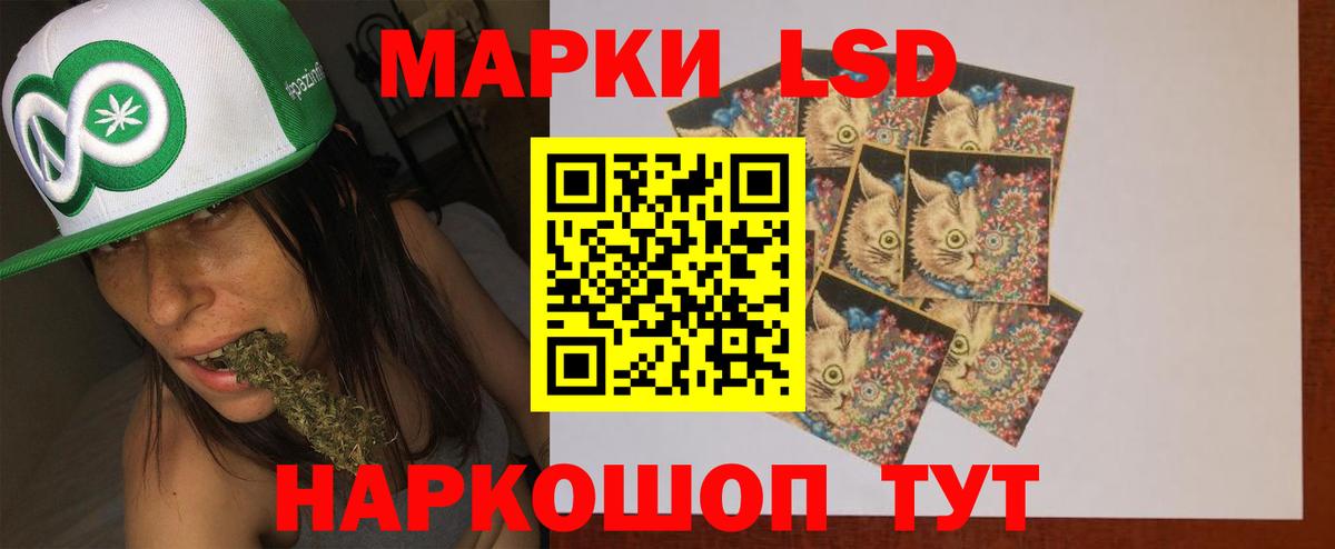 LSD-25 экстази кислота  блэк спрут ONION  Бердск  LSD-25 экстази кислота  Вход с VPN 